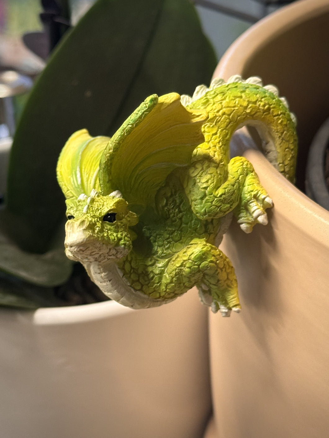 Peridot Dragon - Pot Hanger