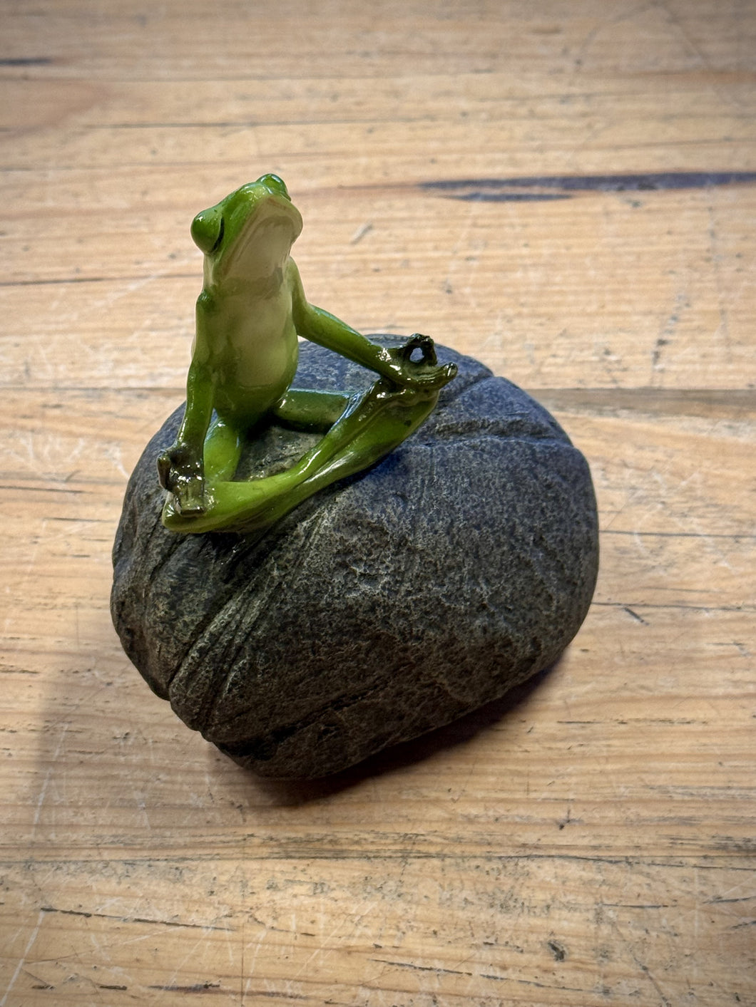 Zen Froggy