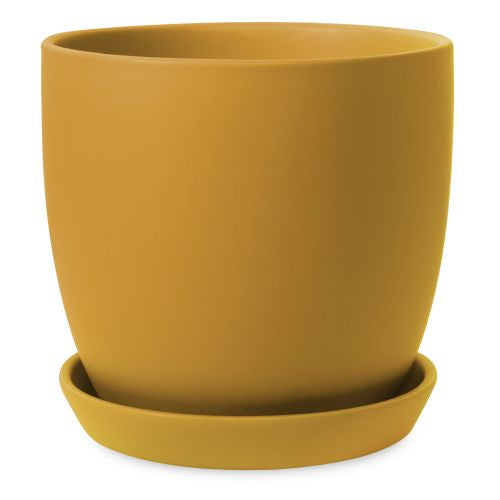 Tulip Pot with Saucer - Citrine