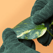Load image into Gallery viewer, We The Wild – Leaf Cleaning Gloves

