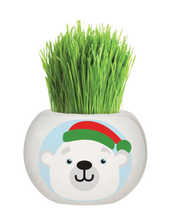 Load image into Gallery viewer, Grass Grow Kit Chrstmas
