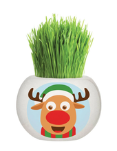 Load image into Gallery viewer, Grass Grow Kit Chrstmas

