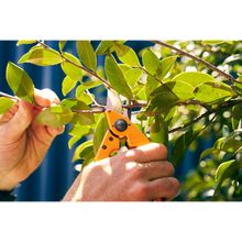 Load image into Gallery viewer, Felco 6 Color Edition - Tangerine Blaze
