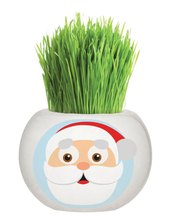 Load image into Gallery viewer, Grass Grow Kit Chrstmas
