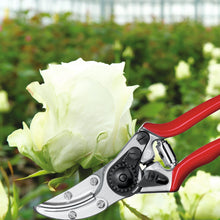 Load image into Gallery viewer, Felco 100 - Cut &amp; Hold Pruning Shears
