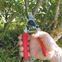 Load image into Gallery viewer, Felco 12 - Roll Handle Medium Pruning Shears
