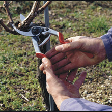 Load image into Gallery viewer, Felco 13 - Two Hander Large Pruning Shears
