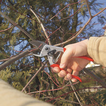 Load image into Gallery viewer, Felco 31 - Anvil Large Pruning Shears
