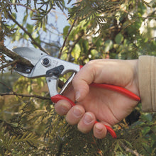 Load image into Gallery viewer, Felco 31 - Anvil Large Pruning Shears
