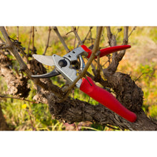 Load image into Gallery viewer, Felco 17 - Roll Handle Medium Pruning Shears - for Left handers
