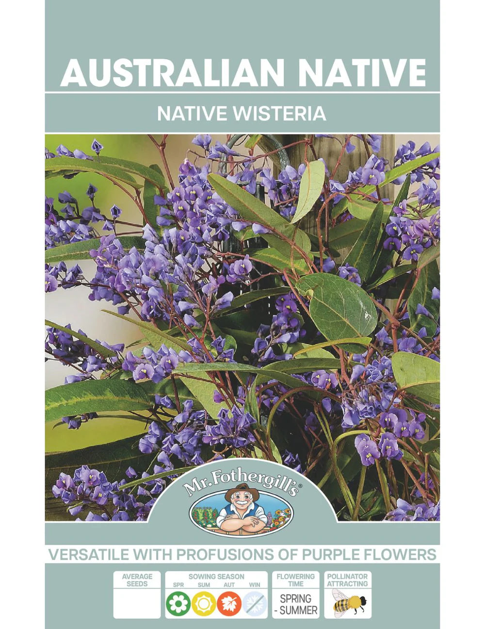 Hardenbergia comptoniana (Native Wisteria) Seeds