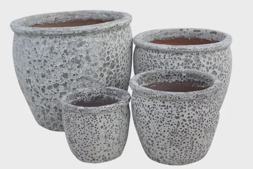 Gorgeia Planter - White Coral