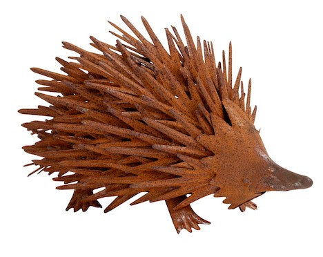 Echidna Small Rust