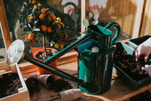 Load image into Gallery viewer, Haws &#39;The Bearwood Brook&#39; Watering Can 9L - Green
