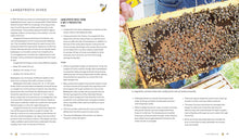 Load image into Gallery viewer, Common Sense Natural Beekeeping
