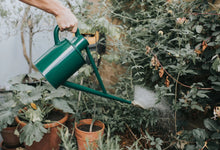 Load image into Gallery viewer, Haws &#39;The Warley Fall&#39; Long Reach Watering Can 4.5L - Green
