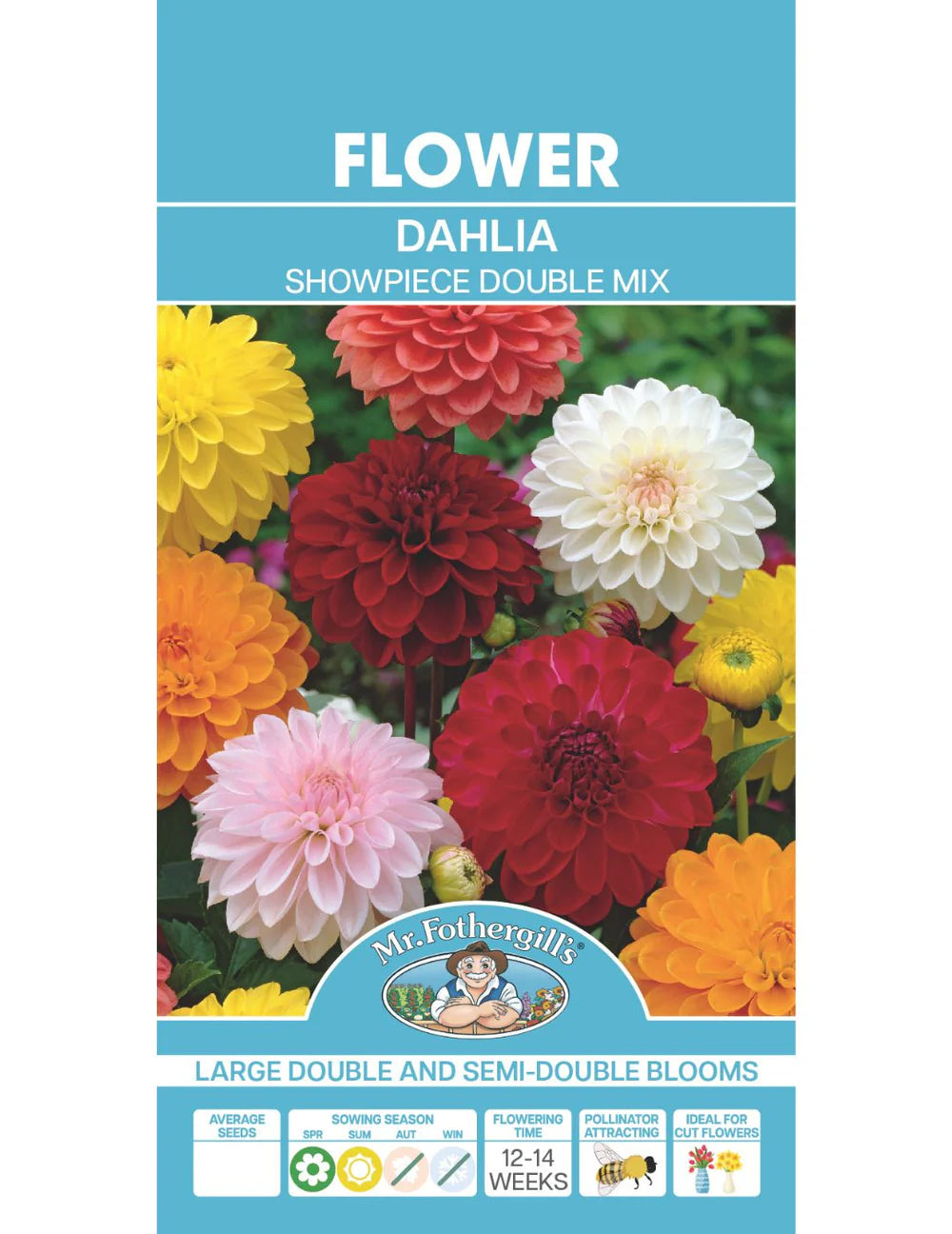 Dahlia 'Showpiece Double Mix' Seeds
