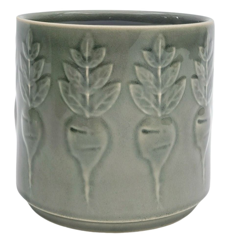 Turnip Planter Sage