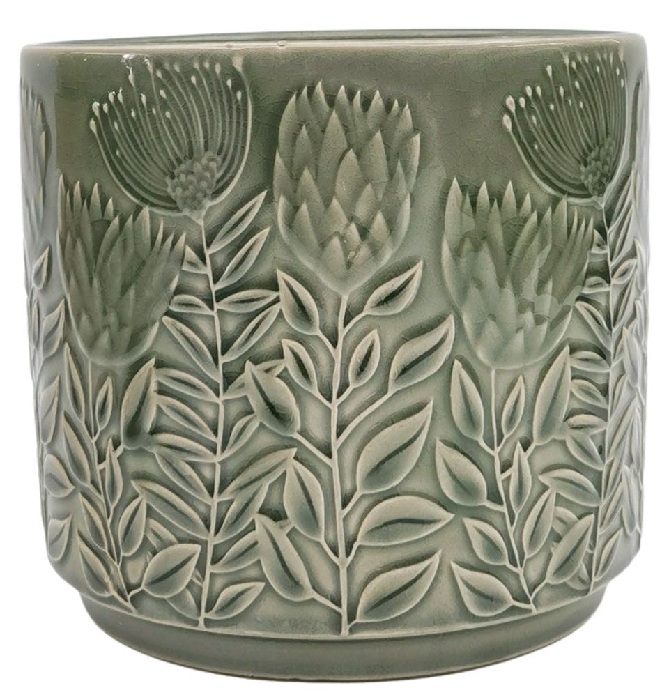 Protea Planter Sage