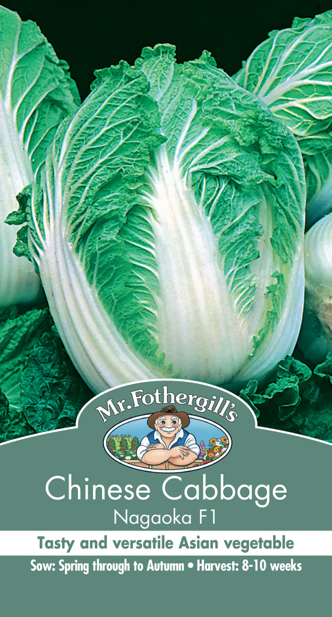 Cabbage - Chinese 'Nagaoka' F1 Seeds