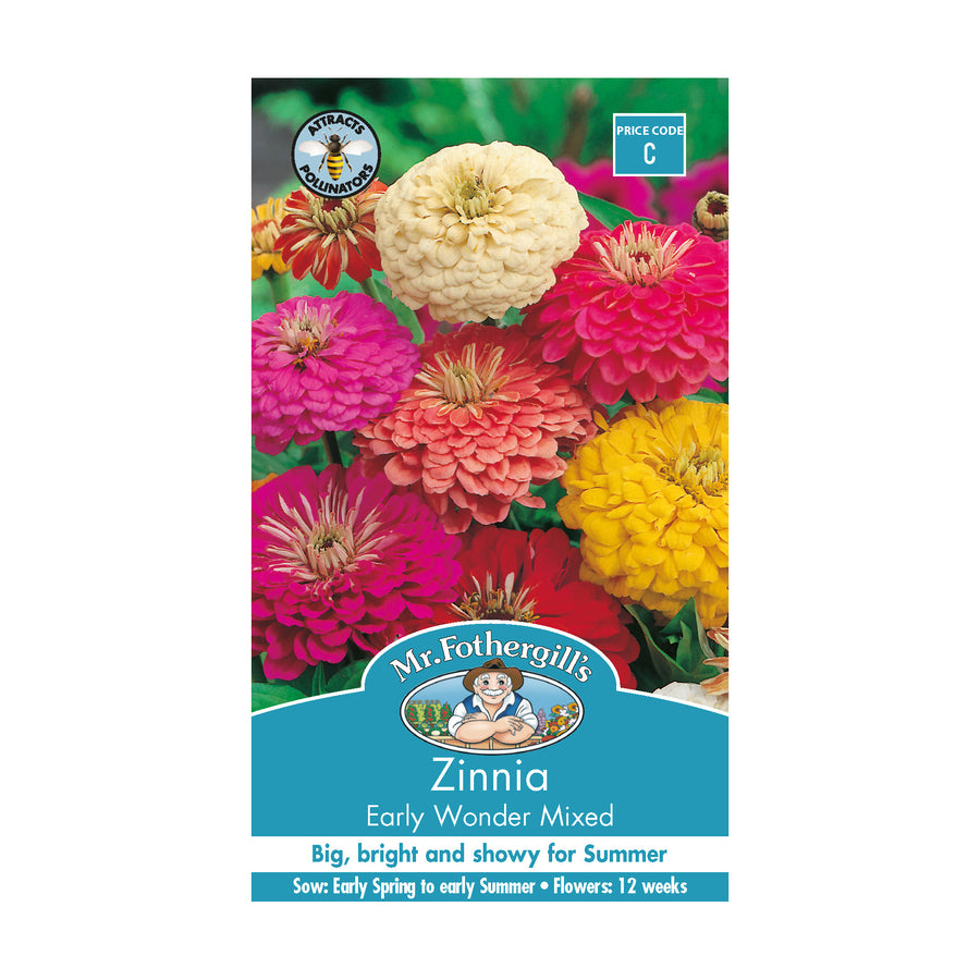 Zinnia 'Early Wonder Mixed' seeds