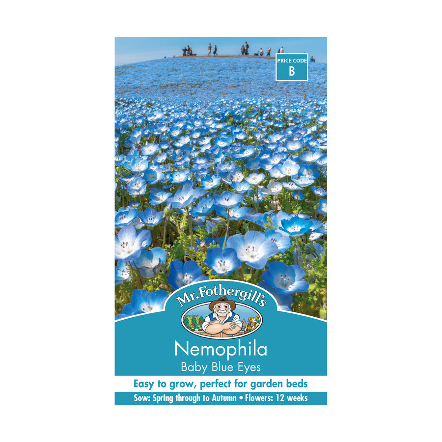 Nemophila 'Baby Blue Eyes' Seeds