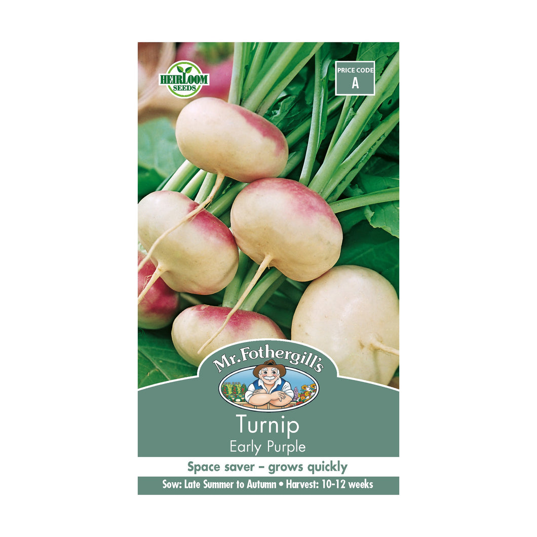 Turnip ‘Early Purple’ seeds