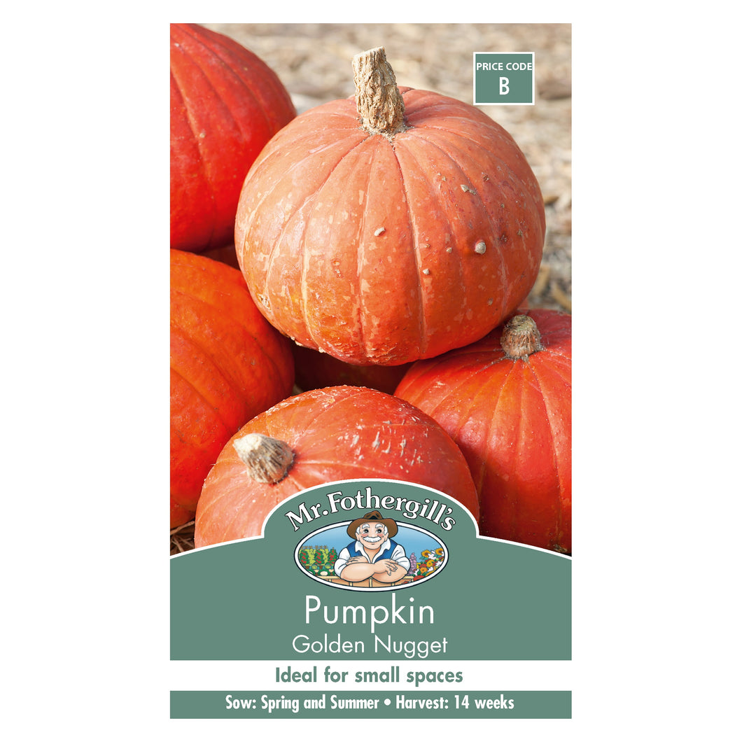 Pumpkin ‘Golden Nugget’ seeds