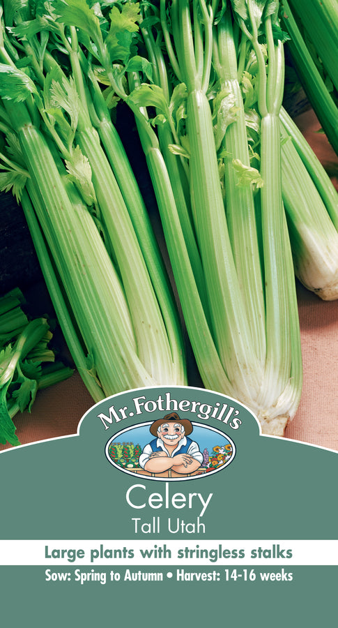 Celery 'Tall Utah' seeds