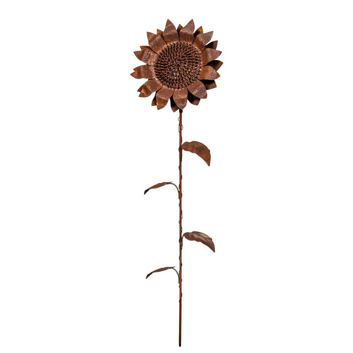 Stake Sunflower Rust