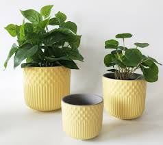 Tuscan Planter - Yellow