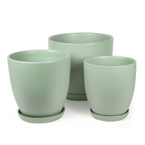 Matte Sage Pot with Saucer