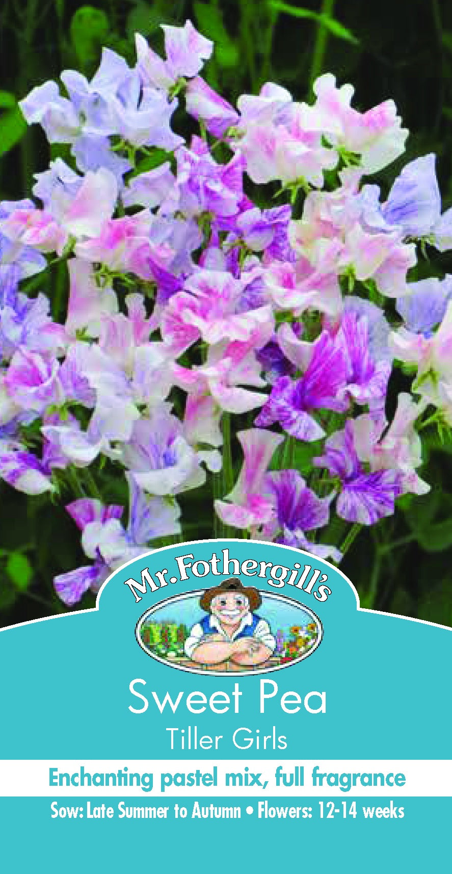 Sweet Pea 'Tiller Girls' Seeds