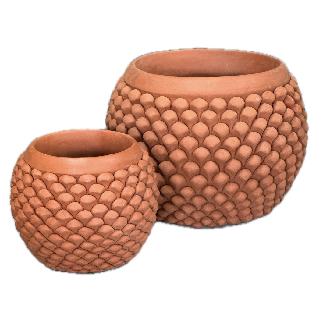 Pine Cone Terracotta Planters