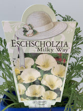 Load image into Gallery viewer, Eschscholzia ‘Milky Way’
