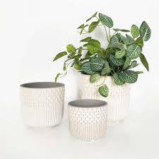 Tuscan Planter - White