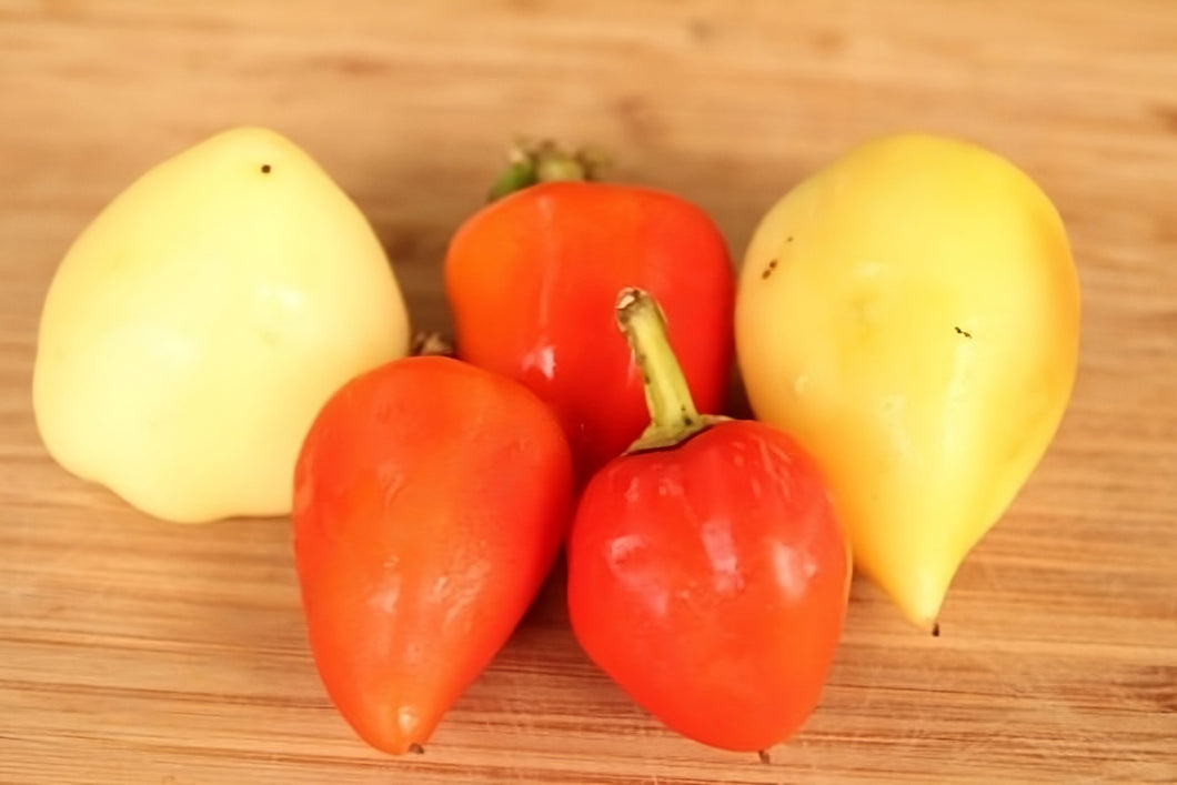 Capsicum 'Bogyiszlo' Greenpatch Seeds