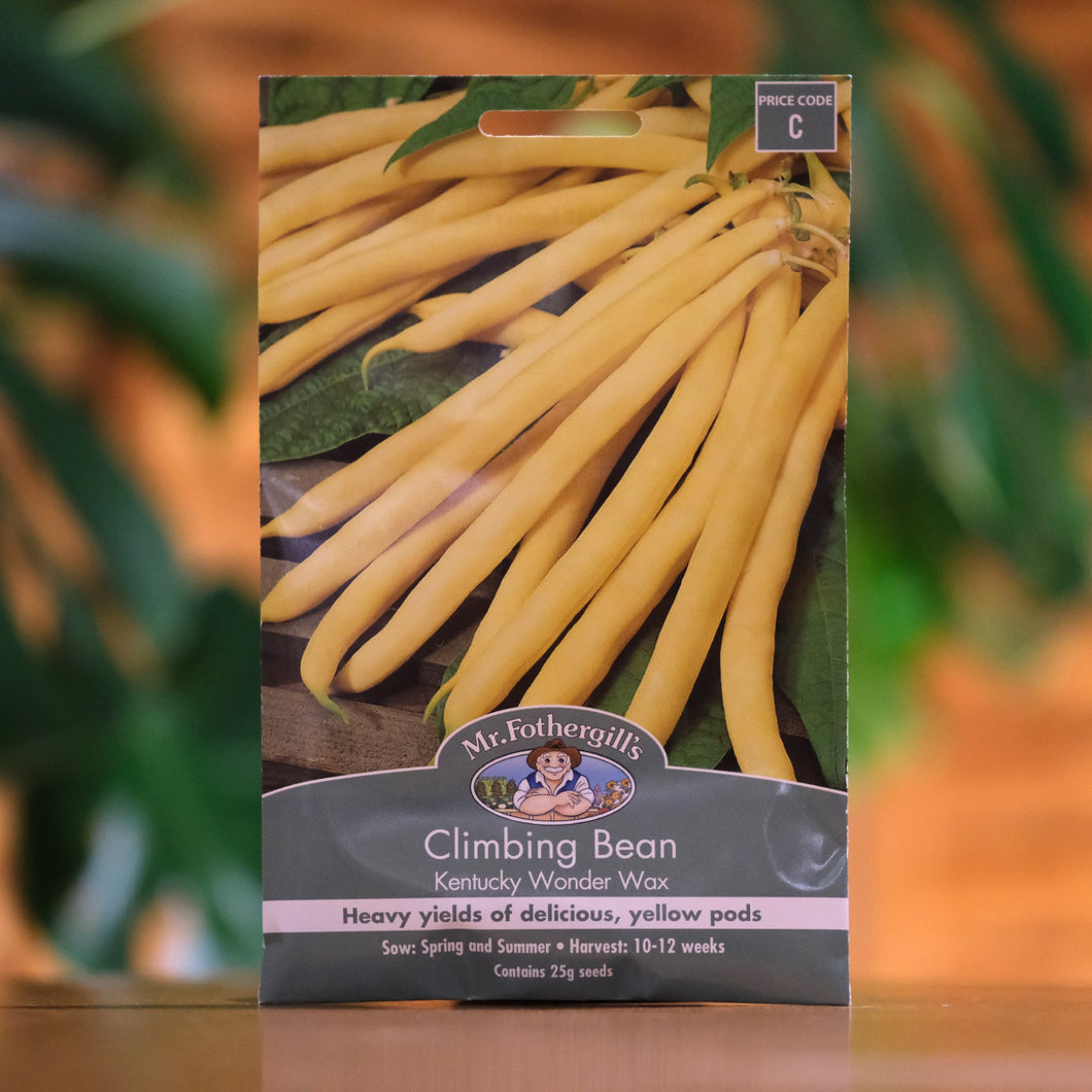 Bean - Climbing 'Kentucky Wonder Wax' seeds