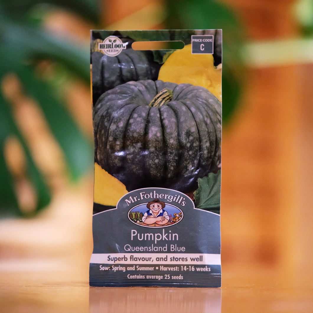 Pumpkin 'Queensland Blue' seeds
