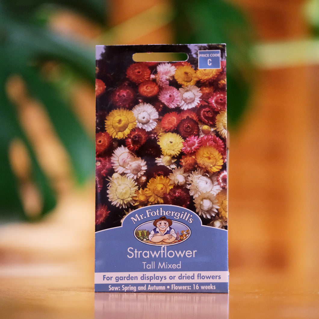 Strawflower 'Tall Mixed' seeds