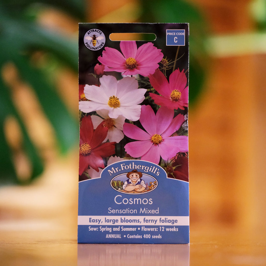 Cosmos 'Sensation Mixed' seeds