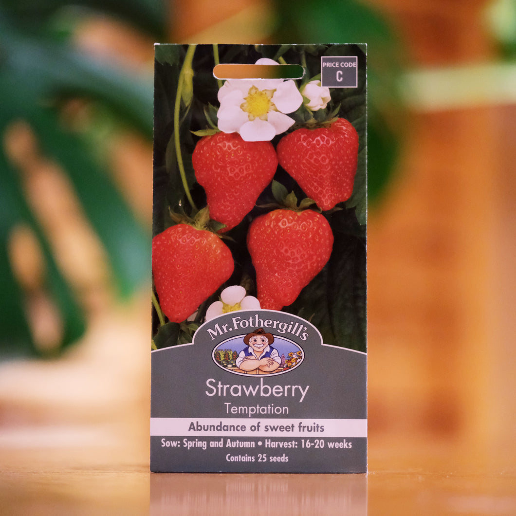 strawberry temptation seeds Strawberry 'Temptation' seeds