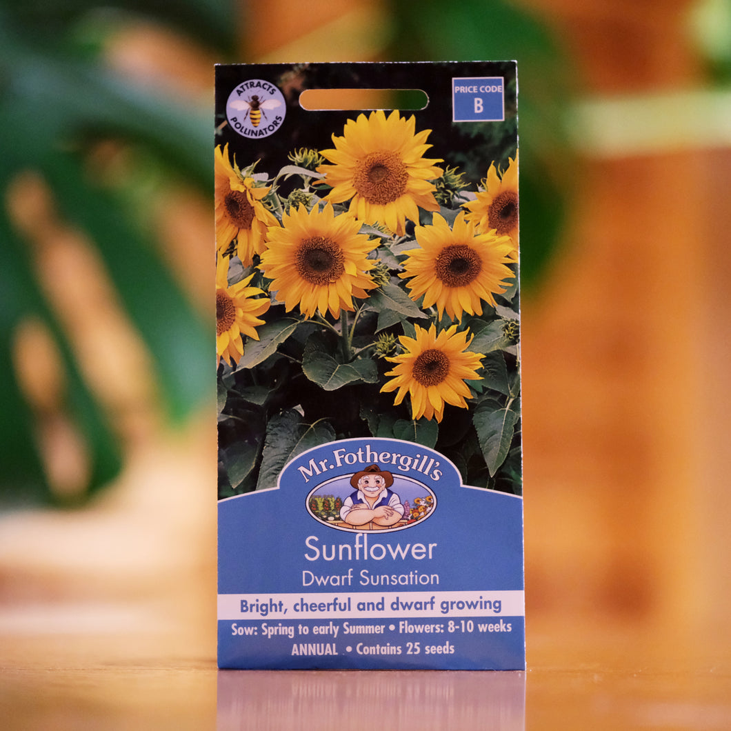 Sunflower 'Dwarf Sunsation' seeds