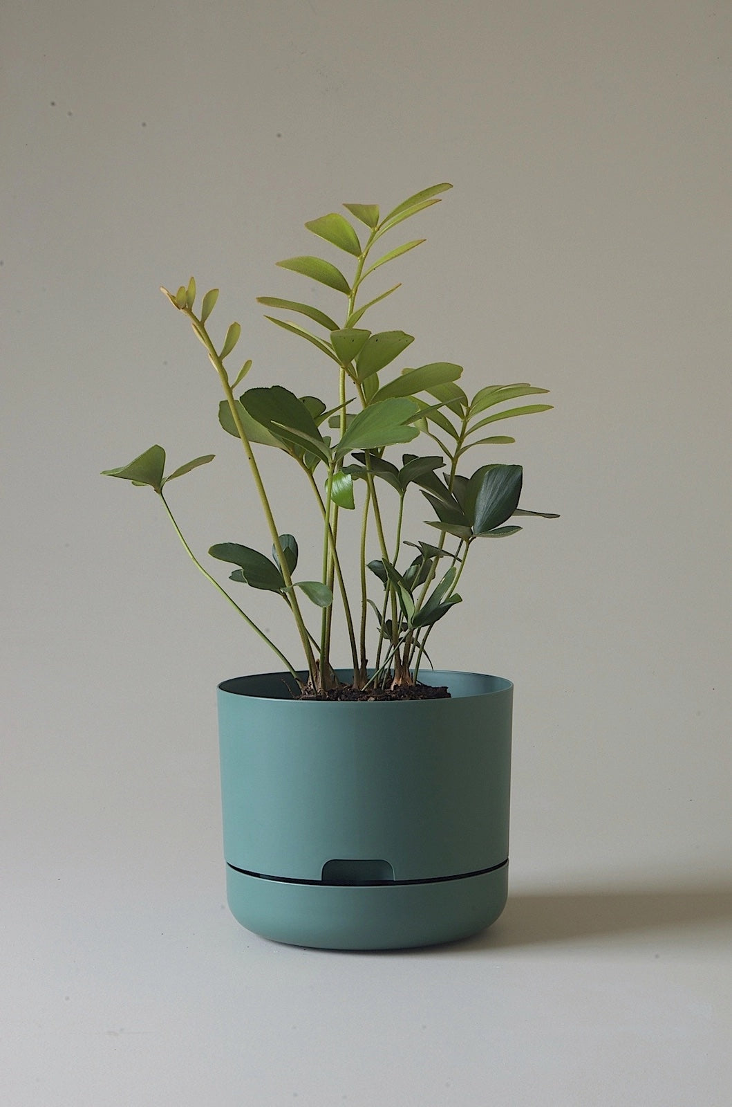 Mr Kitly Selfwatering Plantpot - Dark Moss