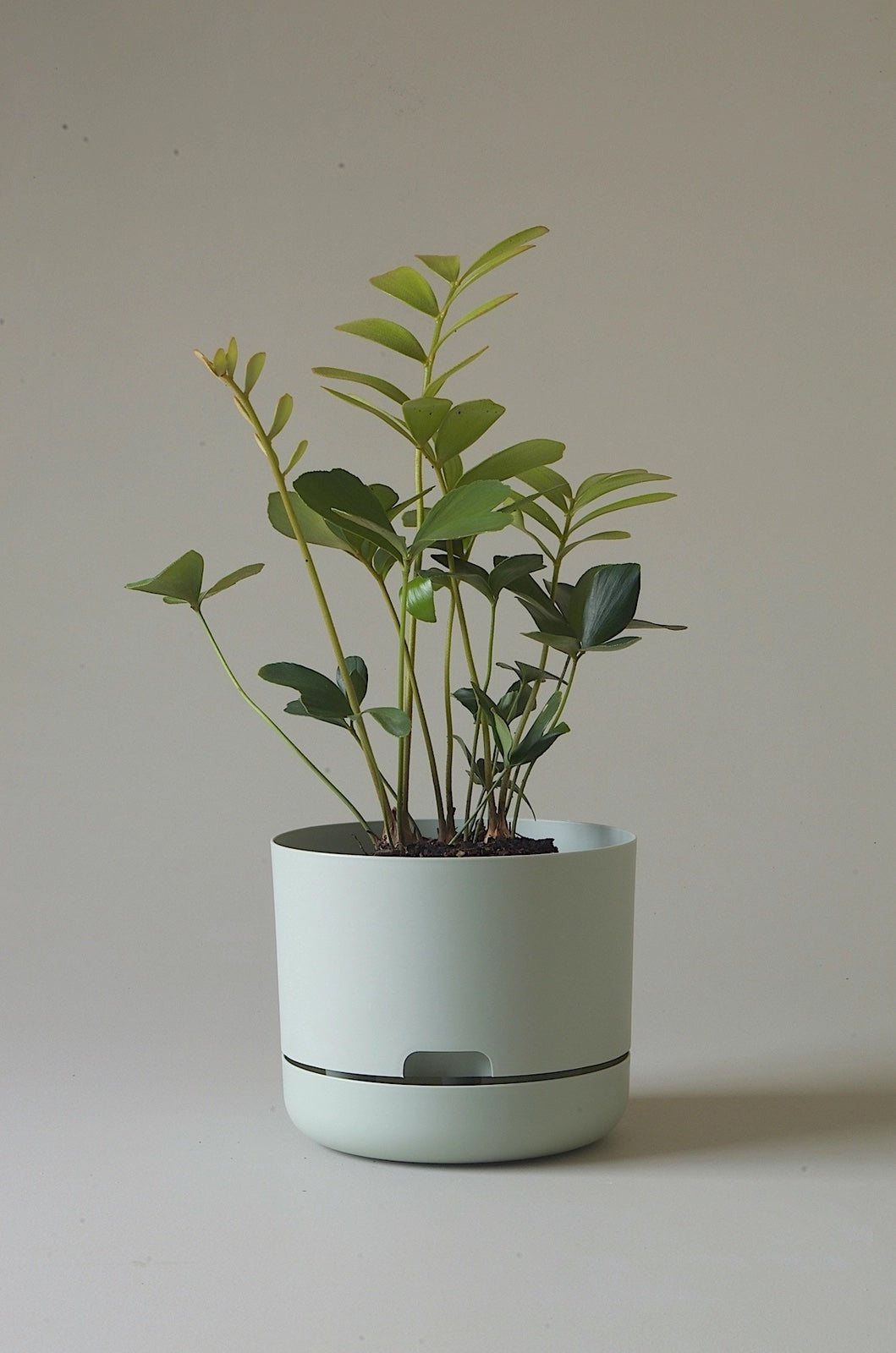 Mr Kitly Selfwatering Plantpot - Fog