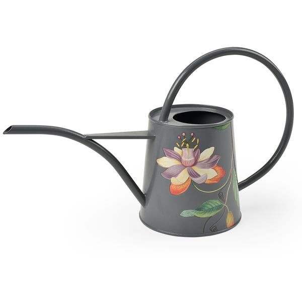 Passiflora Indoor Watering Can
