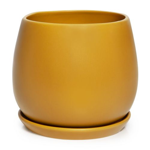 Egg Pot with Saucer Sunset