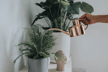 Load image into Gallery viewer, Haws &#39;The Fazeley Flow&#39; 0.5L Watering Can - Copper
