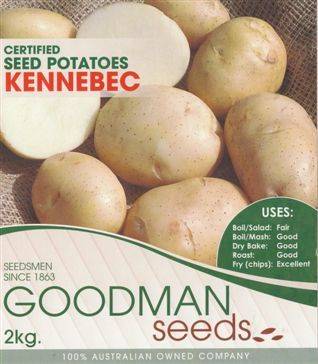 Seed Potatoes - Kennebec