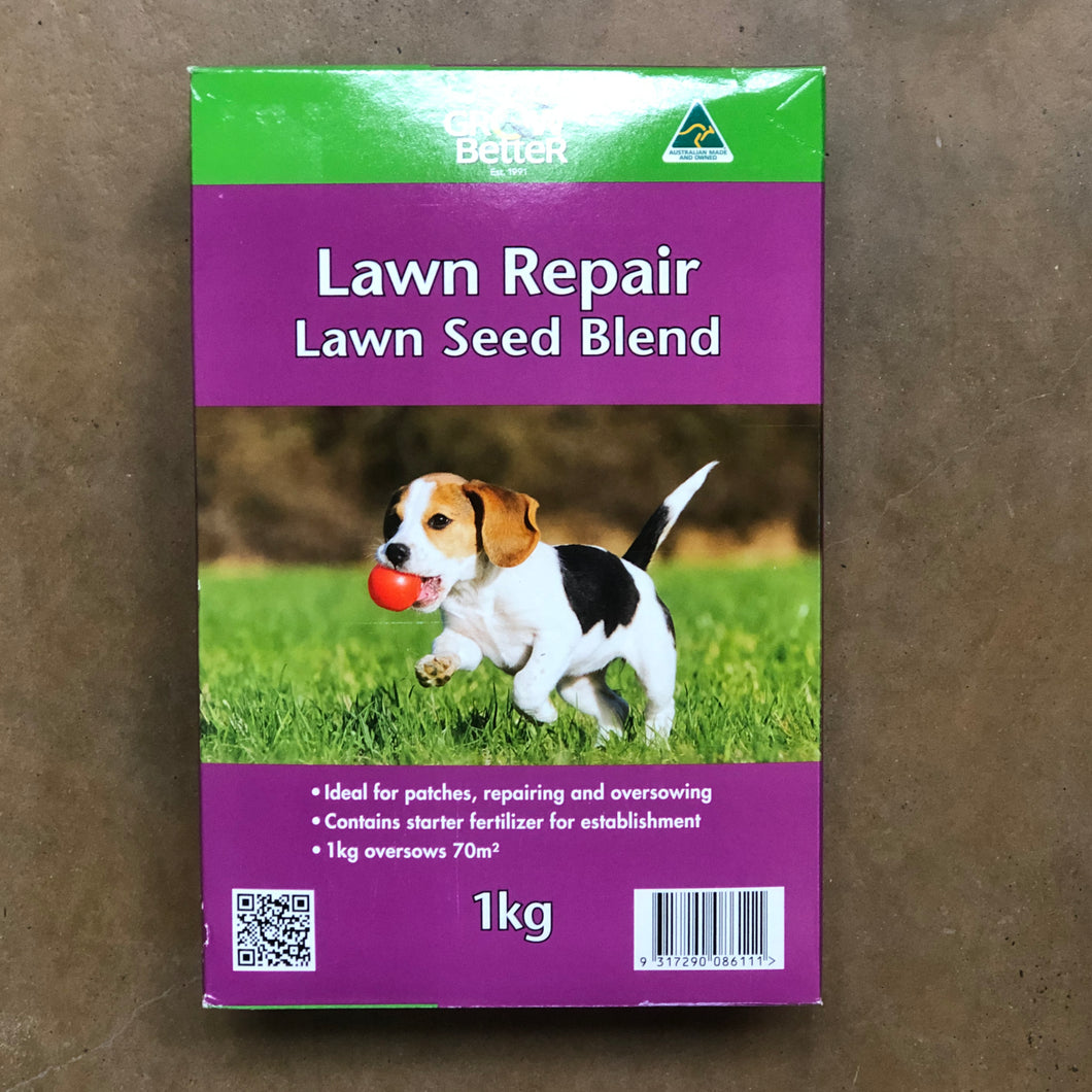 Lawn Repair Lawn Seed Blend